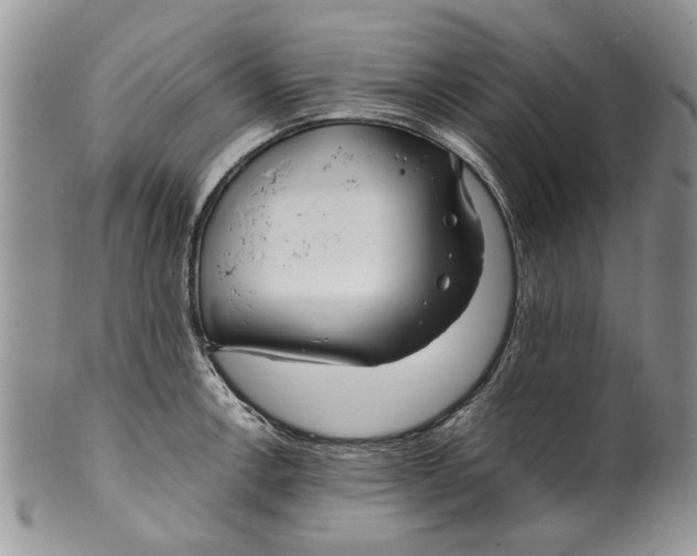 X0000099941138200806131419