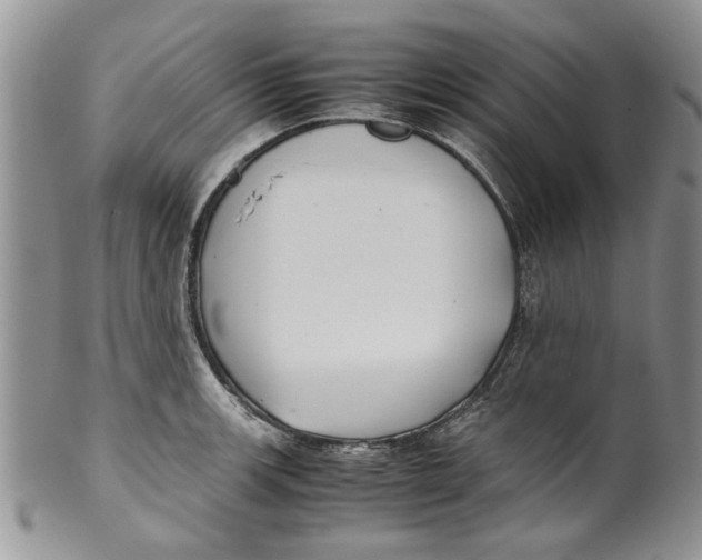 X0000099941139200806131419