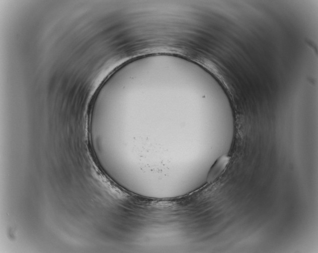 X0000099941140200806131419