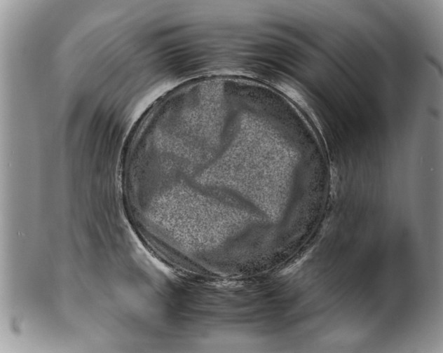 X0000099941141200806131419