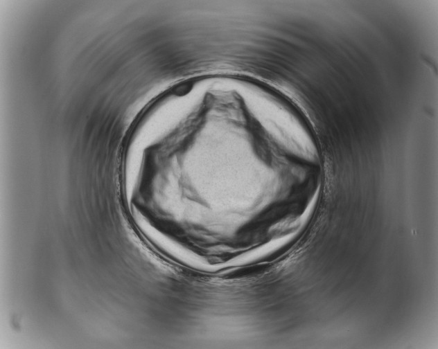 X0000099941142200806131419