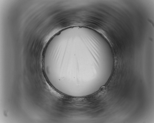 X0000099941143200806131419