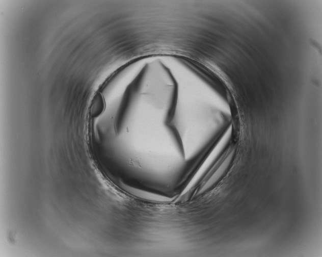 X0000099941144200806131419