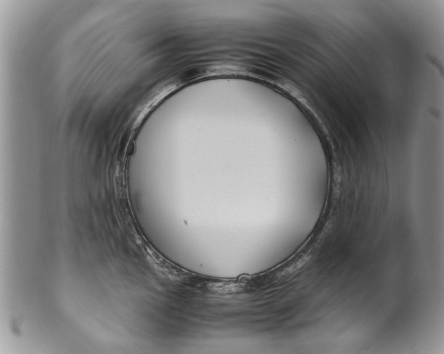 X0000099941145200806131419