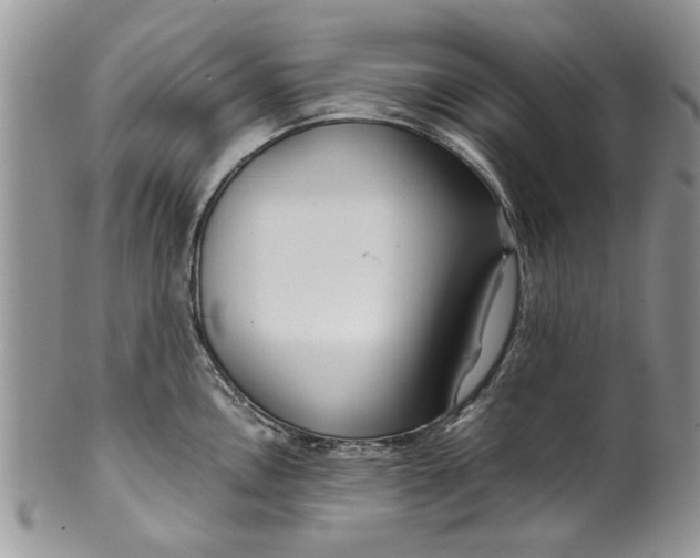 X0000099941146200806131419