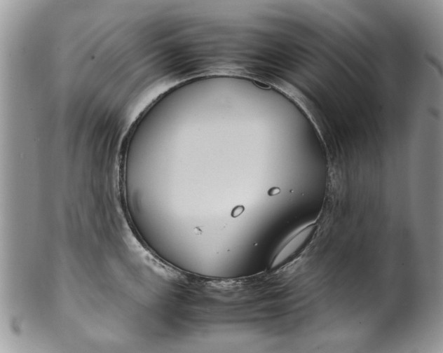 X0000099941147200806131419