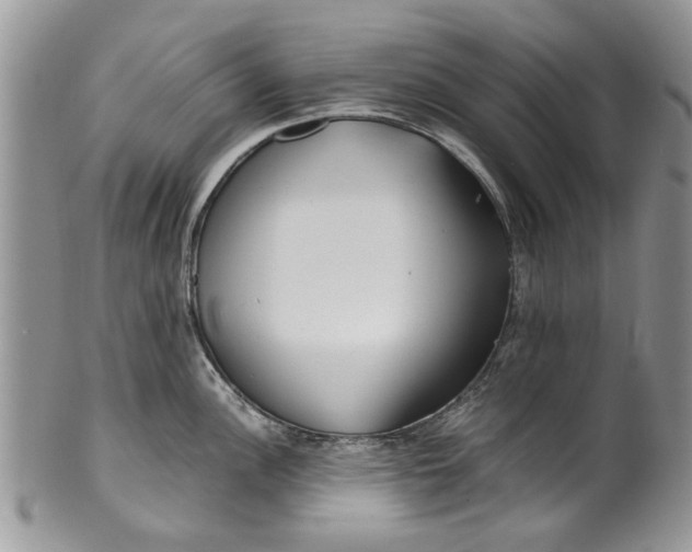 X0000099941148200806131419