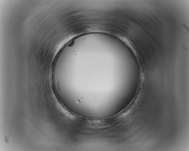 X0000099941149200806131419