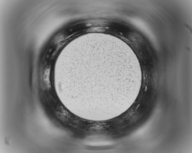 X0000099941150200806131419