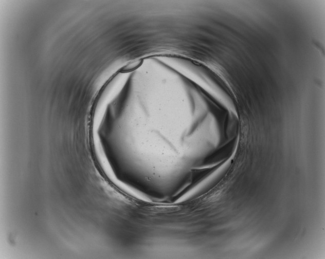 X0000099941151200806131419