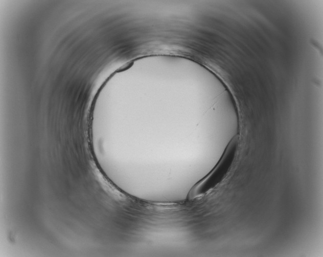 X0000099941152200806131419