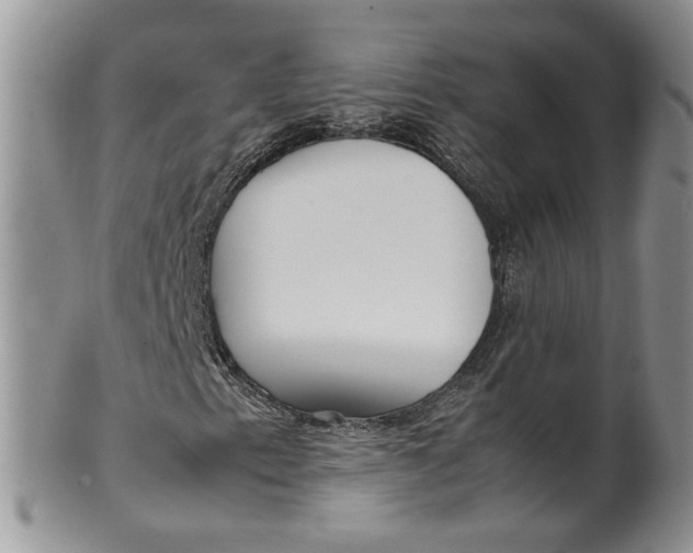 X0000099941153200806131419