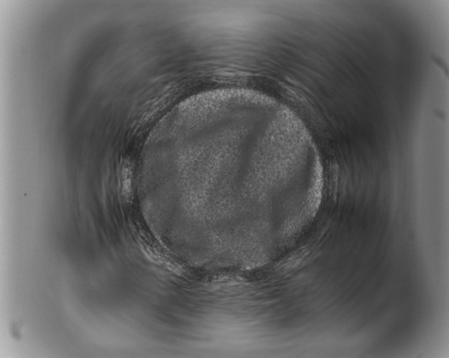 X0000099941154200806131419