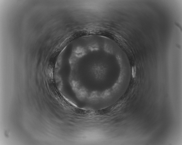 X0000099941155200806131419