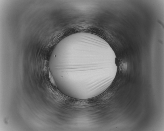 X0000099941156200806131419