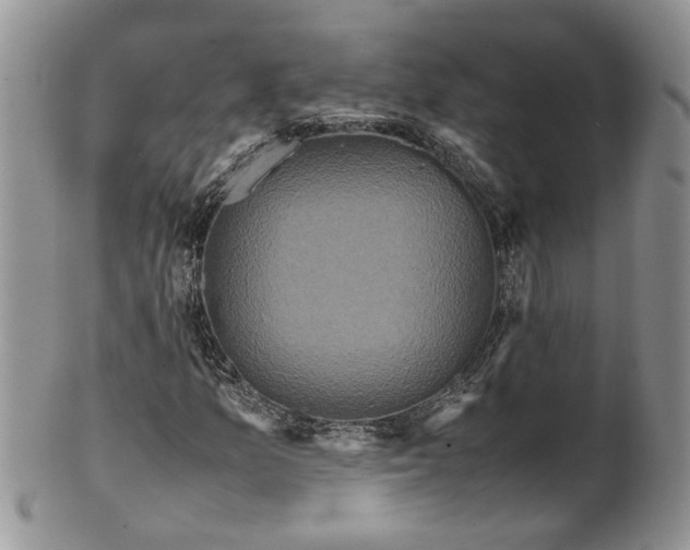 X0000099941157200806131419