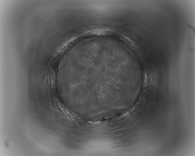 X0000099941158200806131419