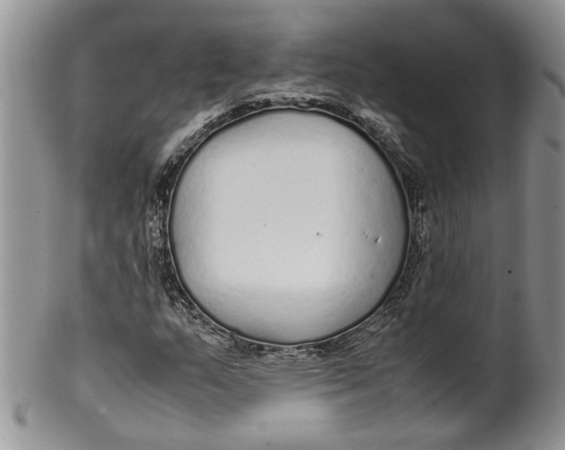 X0000099941159200806131419