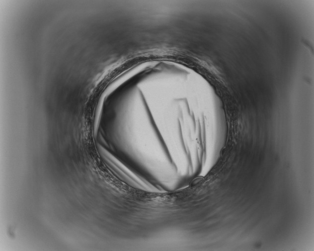 X0000099941160200806131419