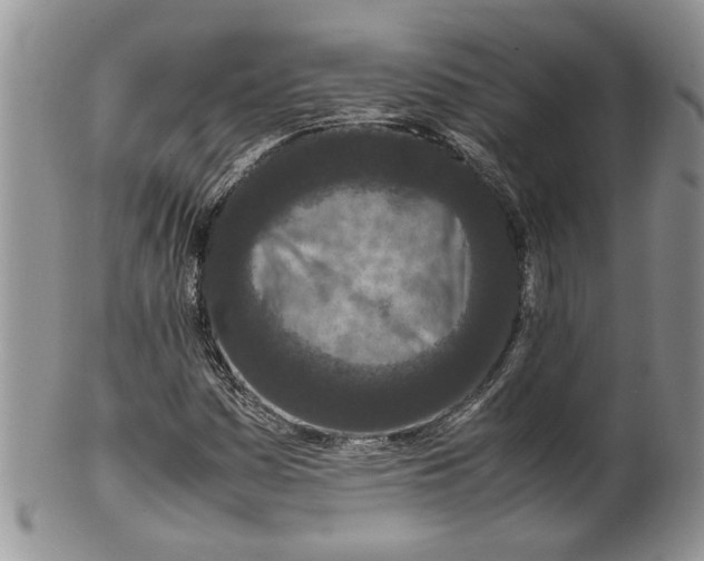 X0000099941161200806131418