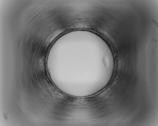 X0000099941162200806131418