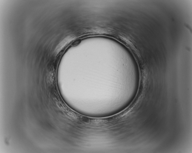 X0000099941163200806131418