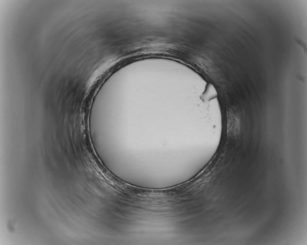 X0000099941164200806131418