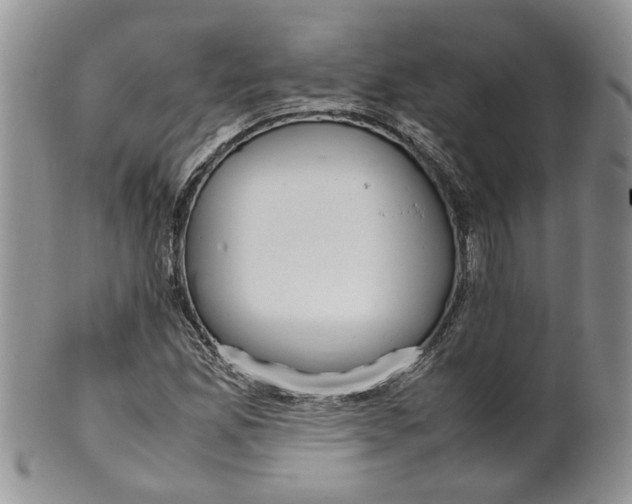 X0000099941165200806131418