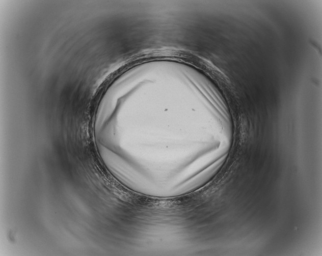 X0000099941166200806131418