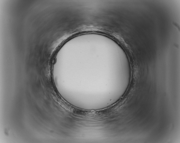 X0000099941167200806131418