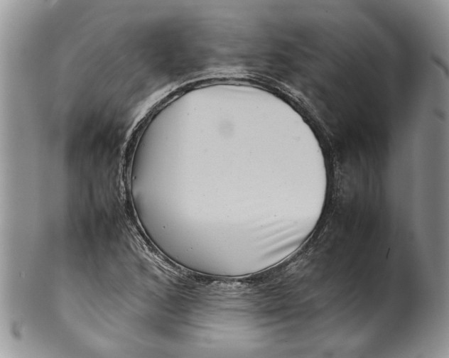 X0000099941168200806131418