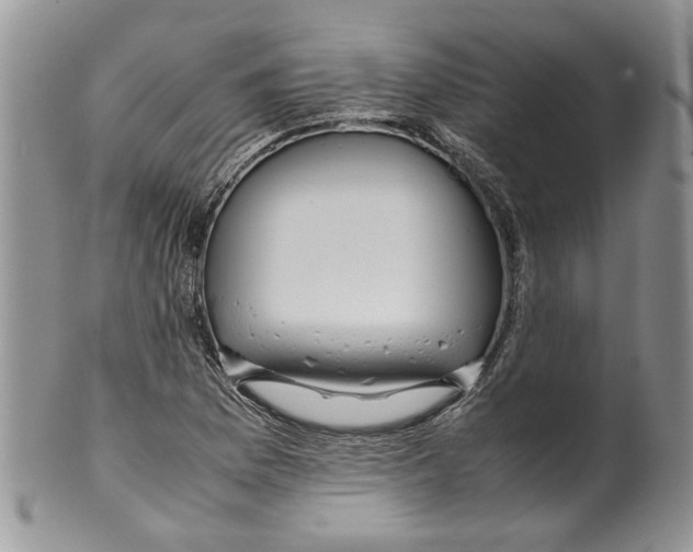 X0000099941169200806131418