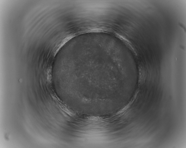 X0000099941170200806131418