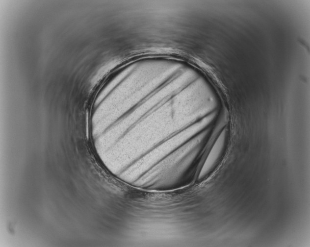 X0000099941171200806131418