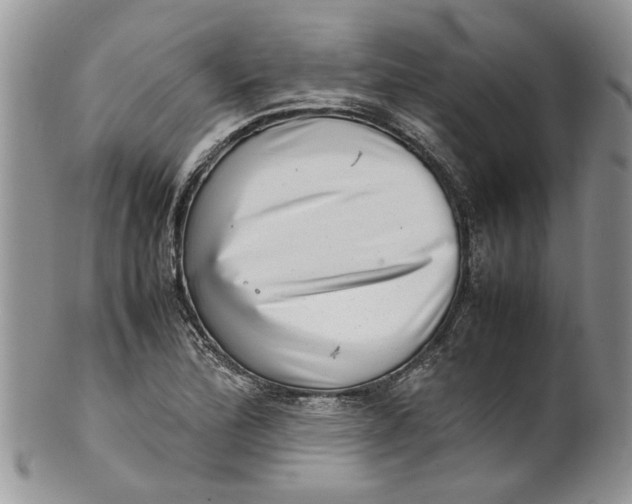 X0000099941172200806131418