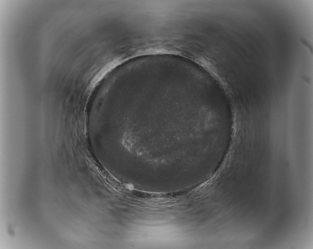 X0000099941173200806131418