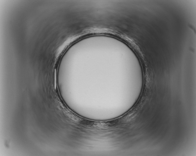 X0000099941175200806131418