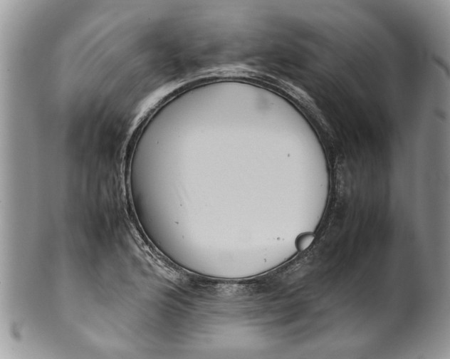 X0000099941176200806131418