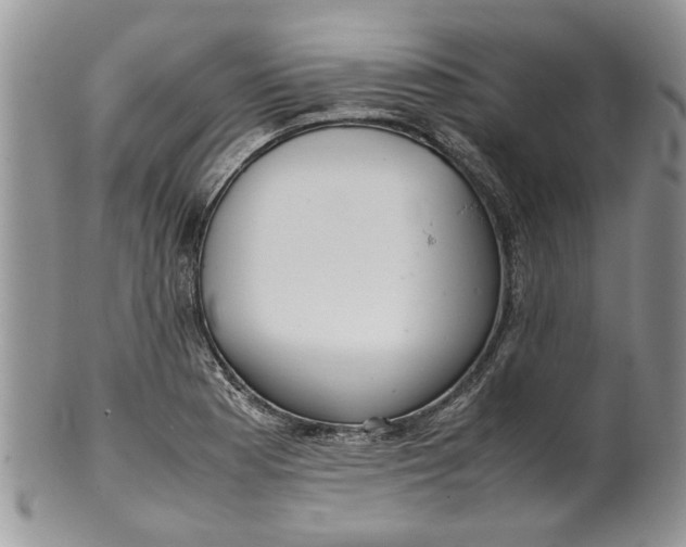 X0000099941177200806131418