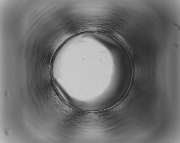 X0000099941178200806131418