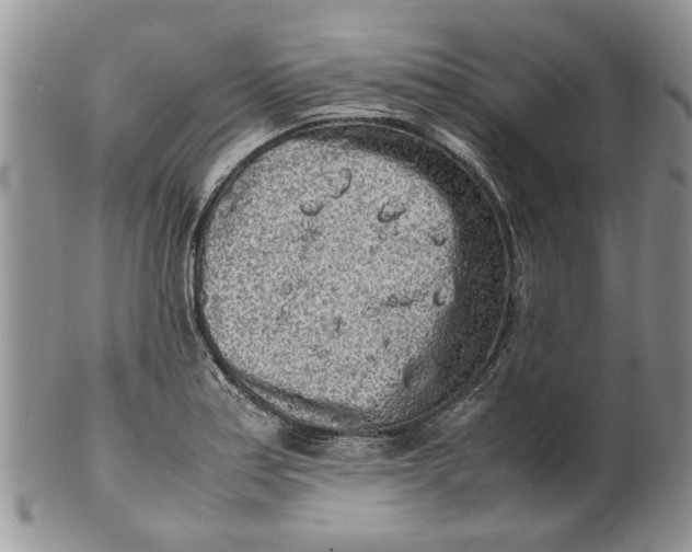 X0000099941179200806131418