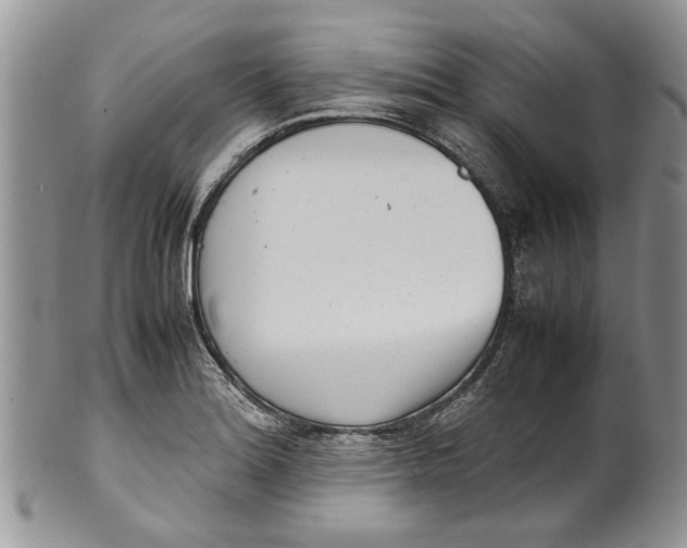 X0000099941180200806131418