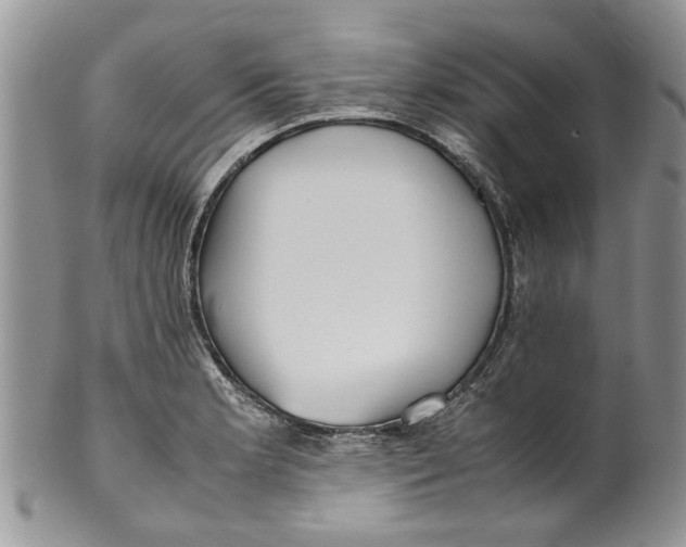 X0000099941181200806131418