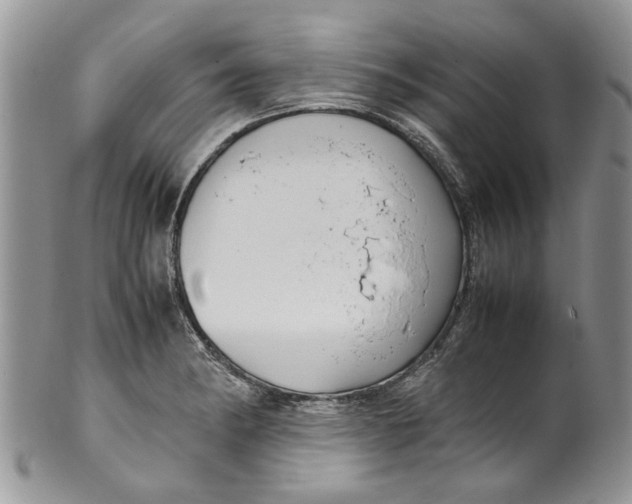 X0000099941182200806131418