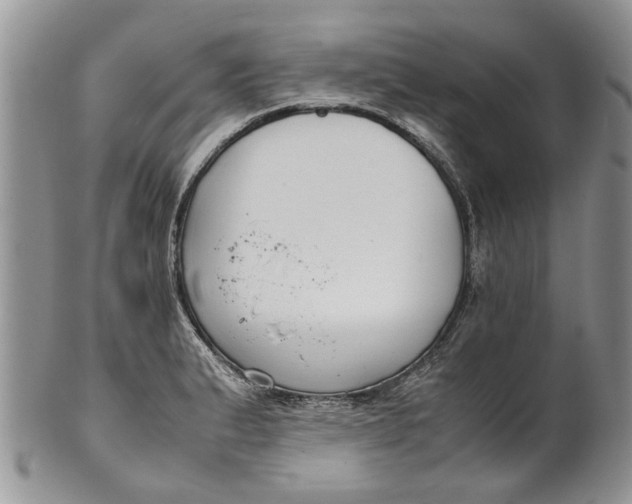 X0000099941183200806131418