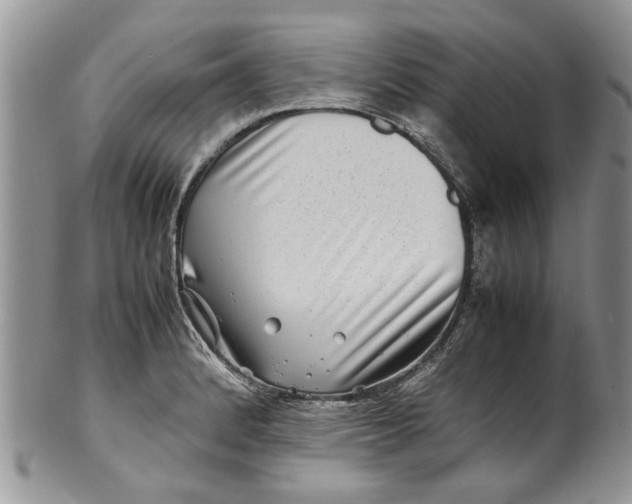 X0000099941184200806131418