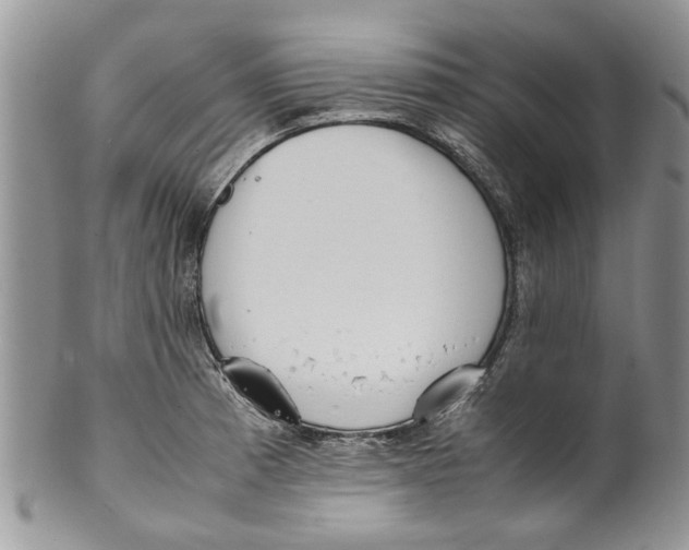 X0000099941185200806131418