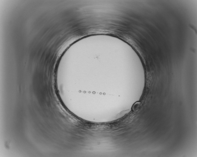 X0000099941187200806131418