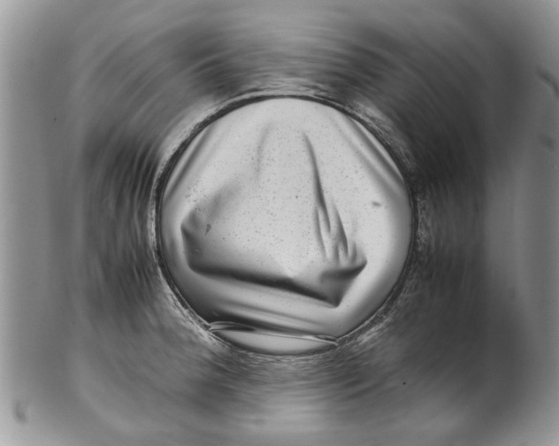 X0000099941188200806131418