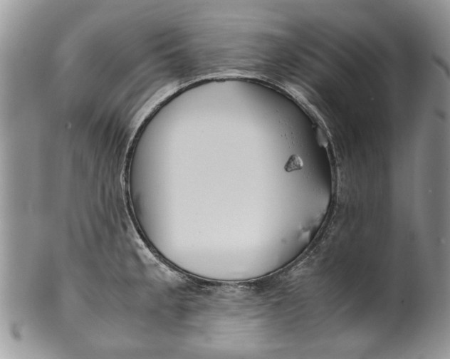 X0000099941189200806131418